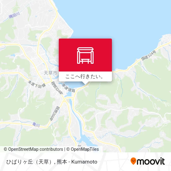 ひばりヶ丘（天草）地図