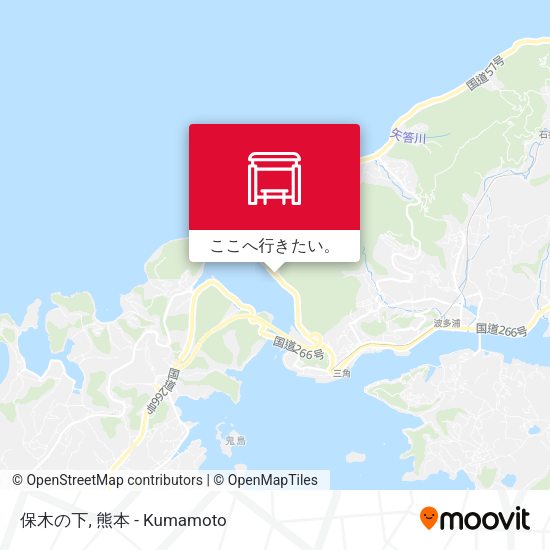 保木の下地図