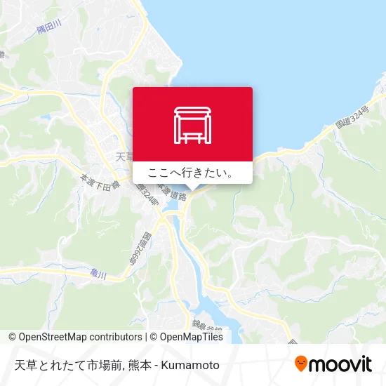 天草とれたて市場前地図