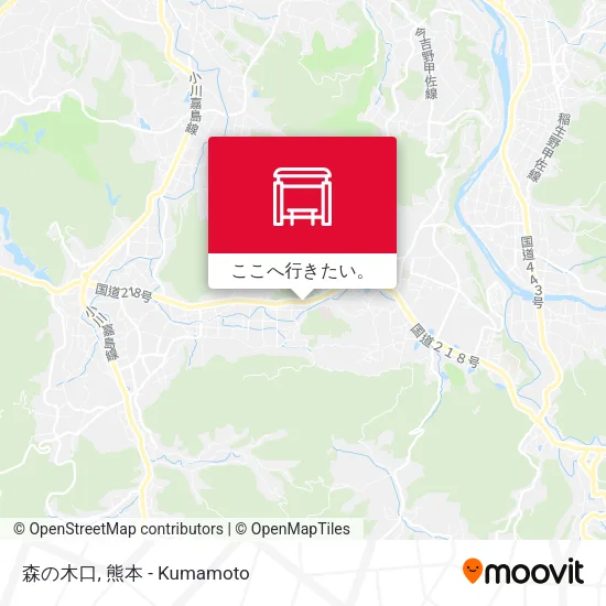 森の木口地図