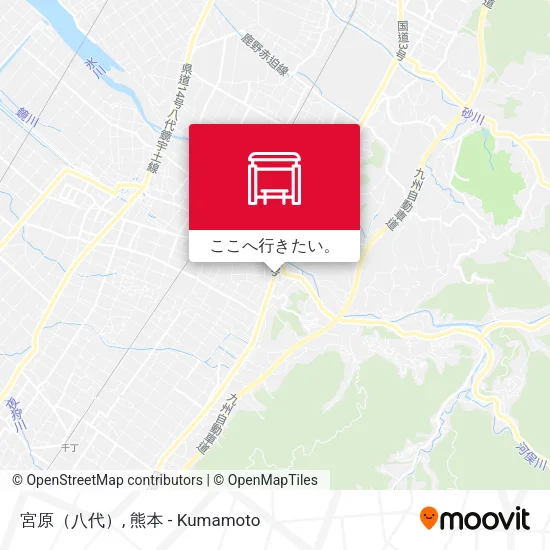 宮原（八代）地図
