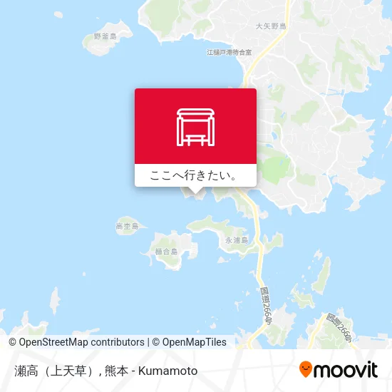 瀬高（上天草）地図