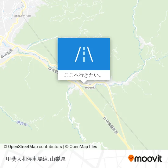 甲斐大和停車場線地図