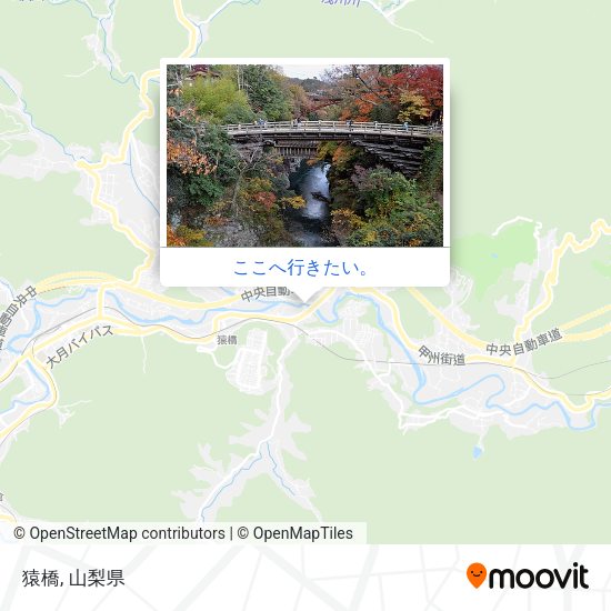 猿橋地図