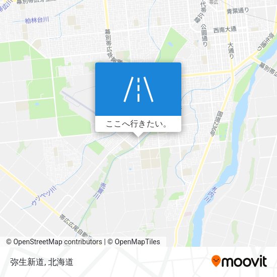 弥生新道地図