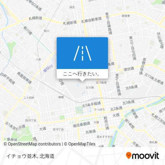 イチョウ並木地図