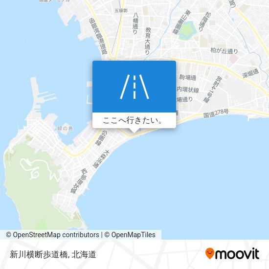 新川横断歩道橋地図
