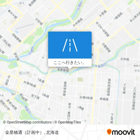 金星橋通（計画中）地図