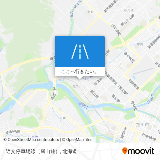 近文停車場線（嵐山通）地図