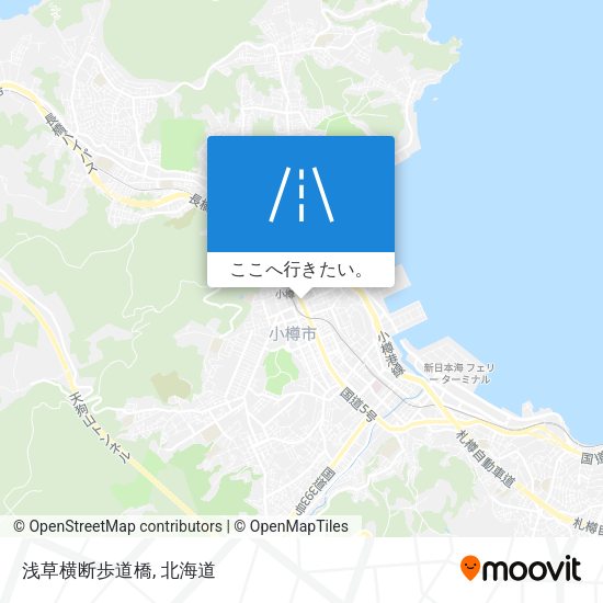 浅草横断歩道橋地図