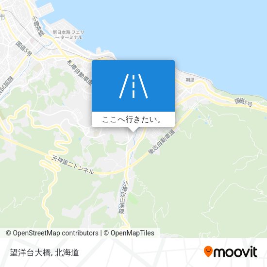望洋台大橋地図