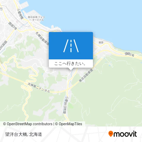 望洋台大橋地図