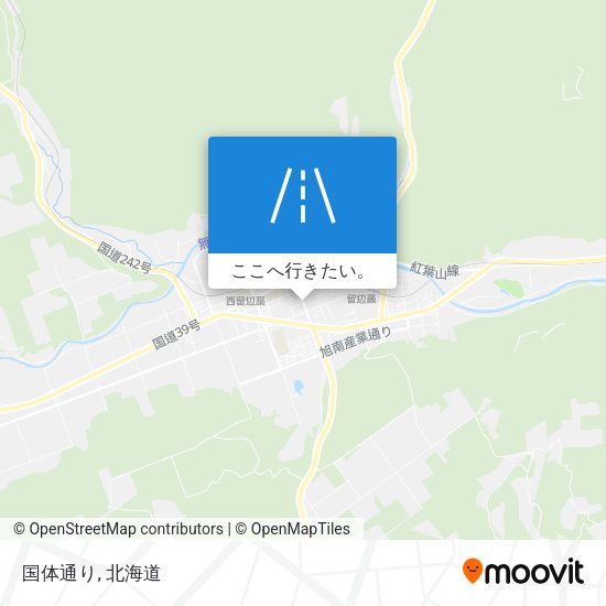 国体通り地図
