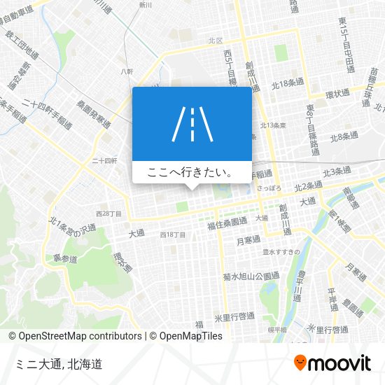 ミニ大通地図
