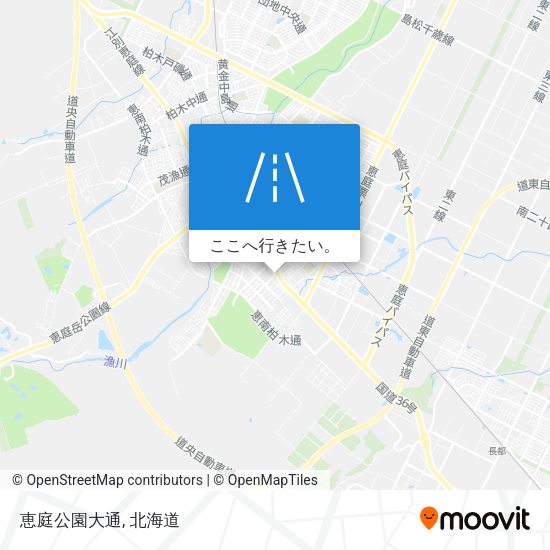 恵庭公園大通地図