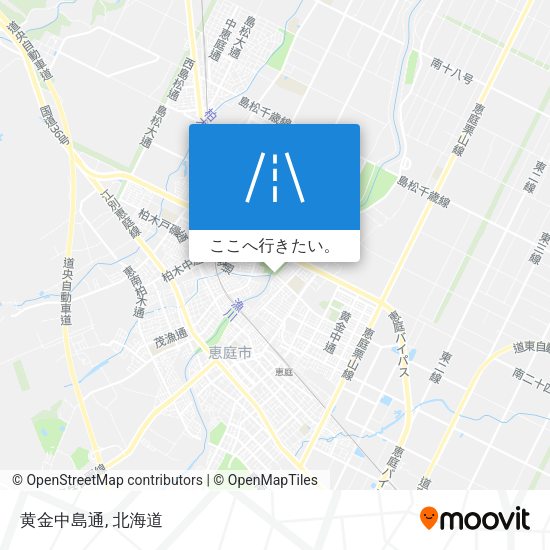 黄金中島通地図