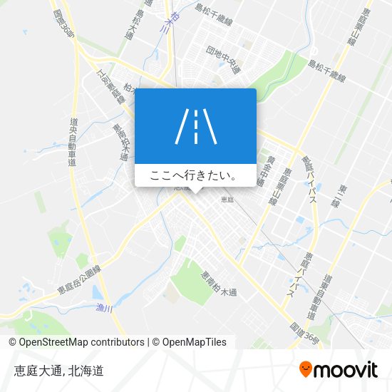 恵庭大通地図