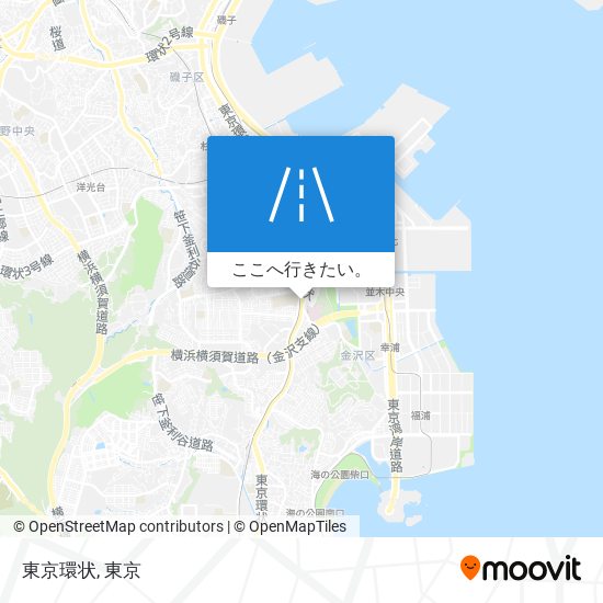 東京環状地図