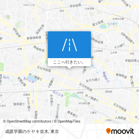 成蹊学園のケヤキ並木地図