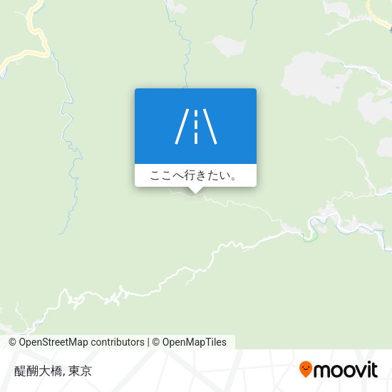 醍醐大橋地図