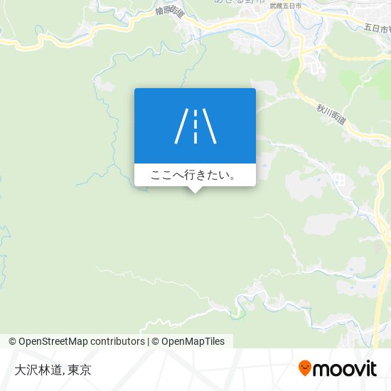 大沢林道地図