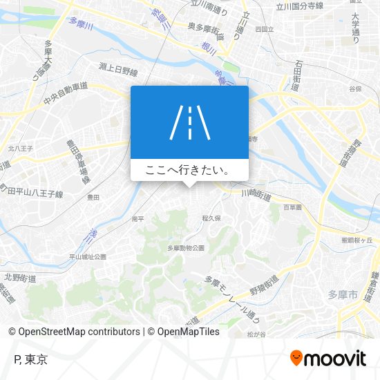 P地図