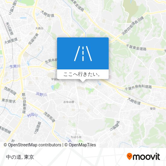 中の道地図