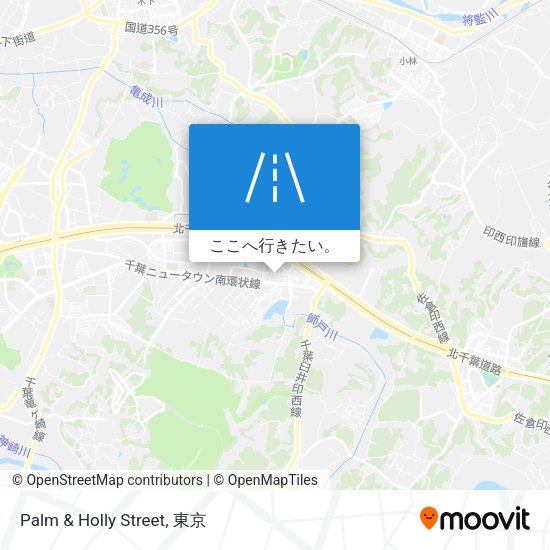 Palm & Holly Street地図