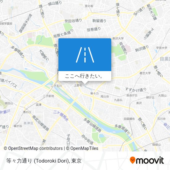 等々力通り (Todoroki Dori)地図