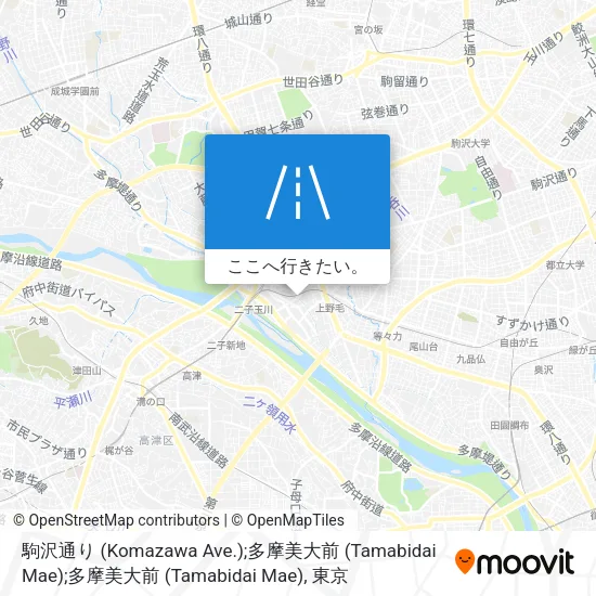 駒沢通り (Komazawa Ave.);多摩美大前 (Tamabidai Mae);多摩美大前 (Tamabidai Mae)地図