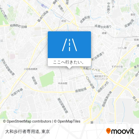 大和歩行者専用道地図