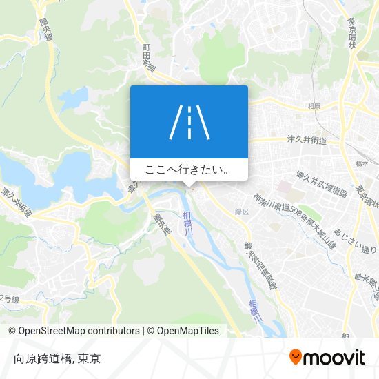向原跨道橋地図