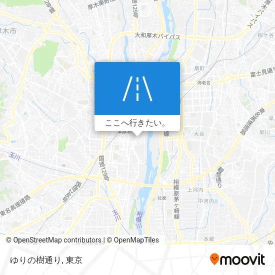 ゆりの樹通り地図