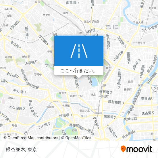 銀杏並木地図