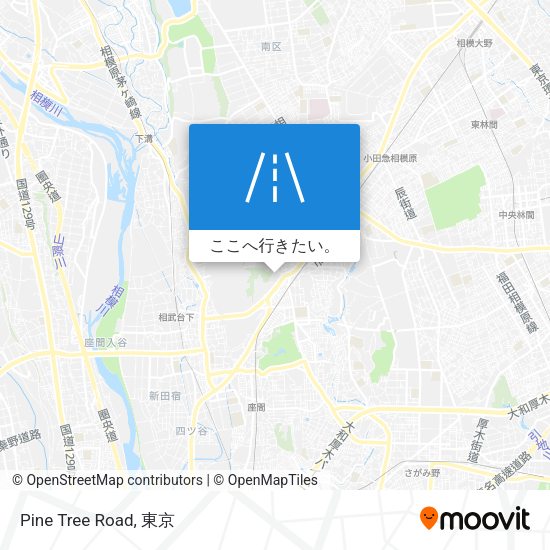 Pine Tree Road地図