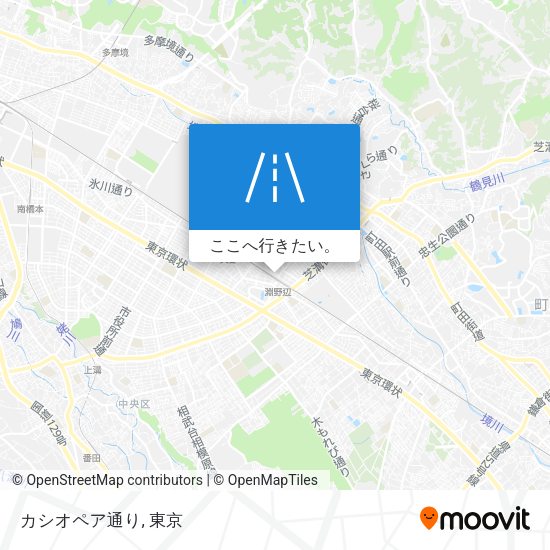 カシオペア通り地図