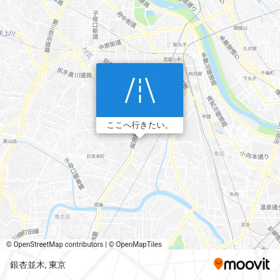 銀杏並木地図