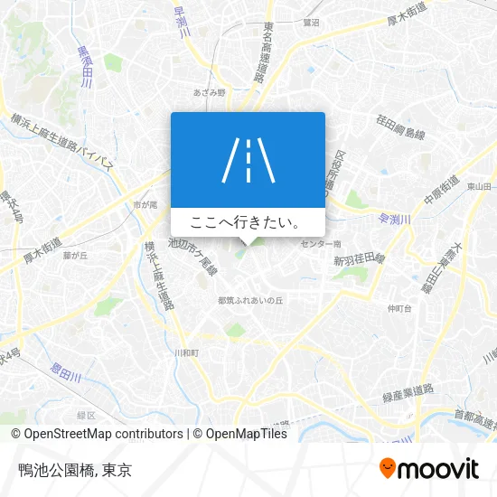 鴨池公園橋地図