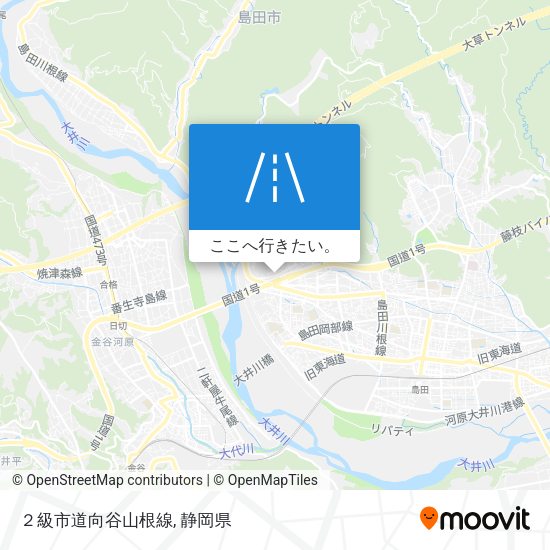 ２級市道向谷山根線地図