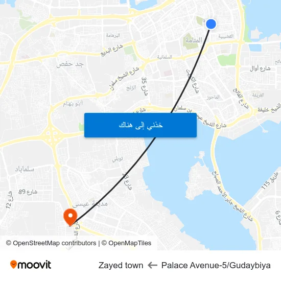 Palace Avenue-5/Gudaybiya to Zayed town map