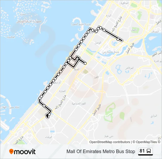 81 Bus Line Map