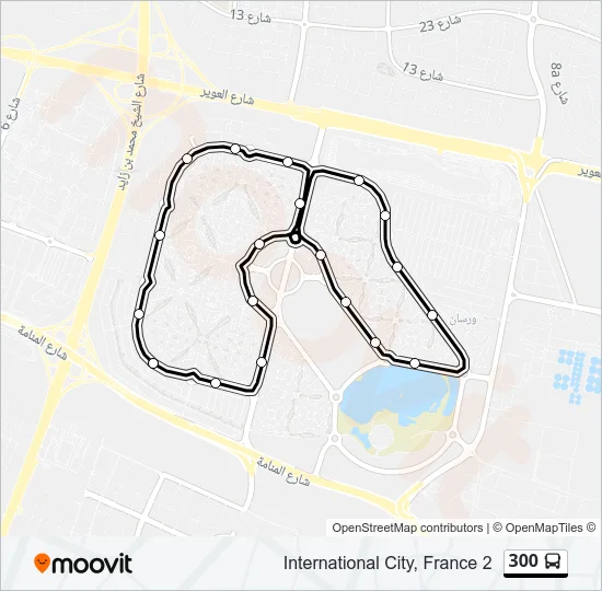 300 Bus Line Map