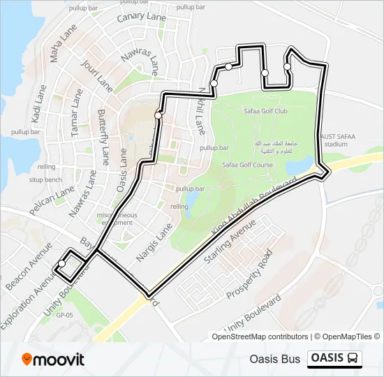 OASIS Bus Line Map