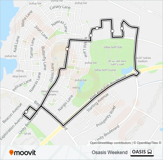 OASIS Bus Line Map