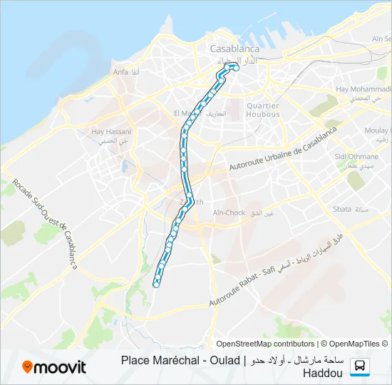 7 Bus Line Map