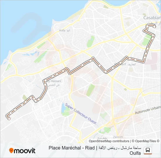 19 Bus Line Map