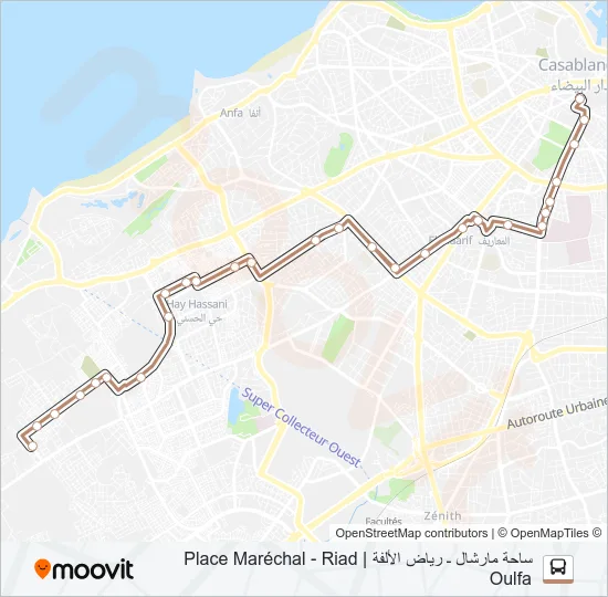19 Bus Line Map