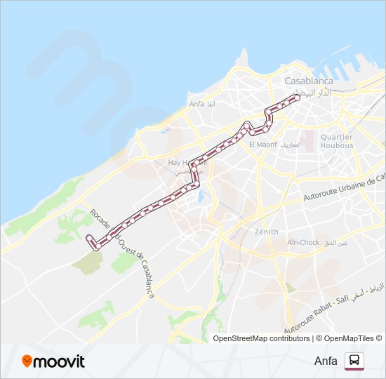 خريط الخط لـ 50 حافلة
