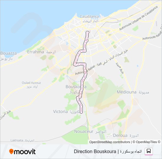 300 bus Line Map