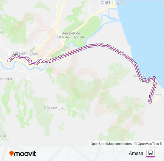19 Bus Line Map